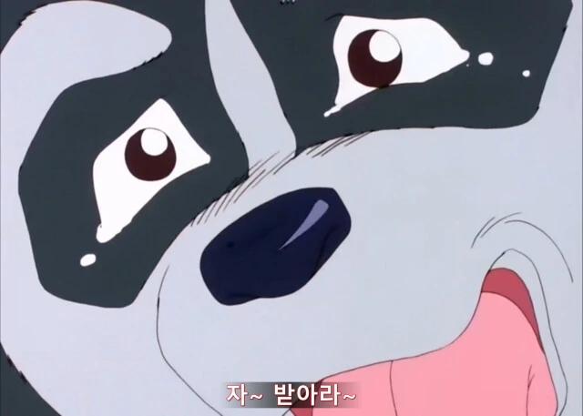 [사이버포뮬러] 피트의 한가로운 일상