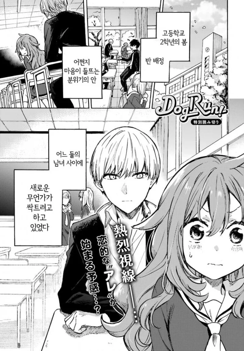 엇갈림으로 시작하는 두남녀 만화