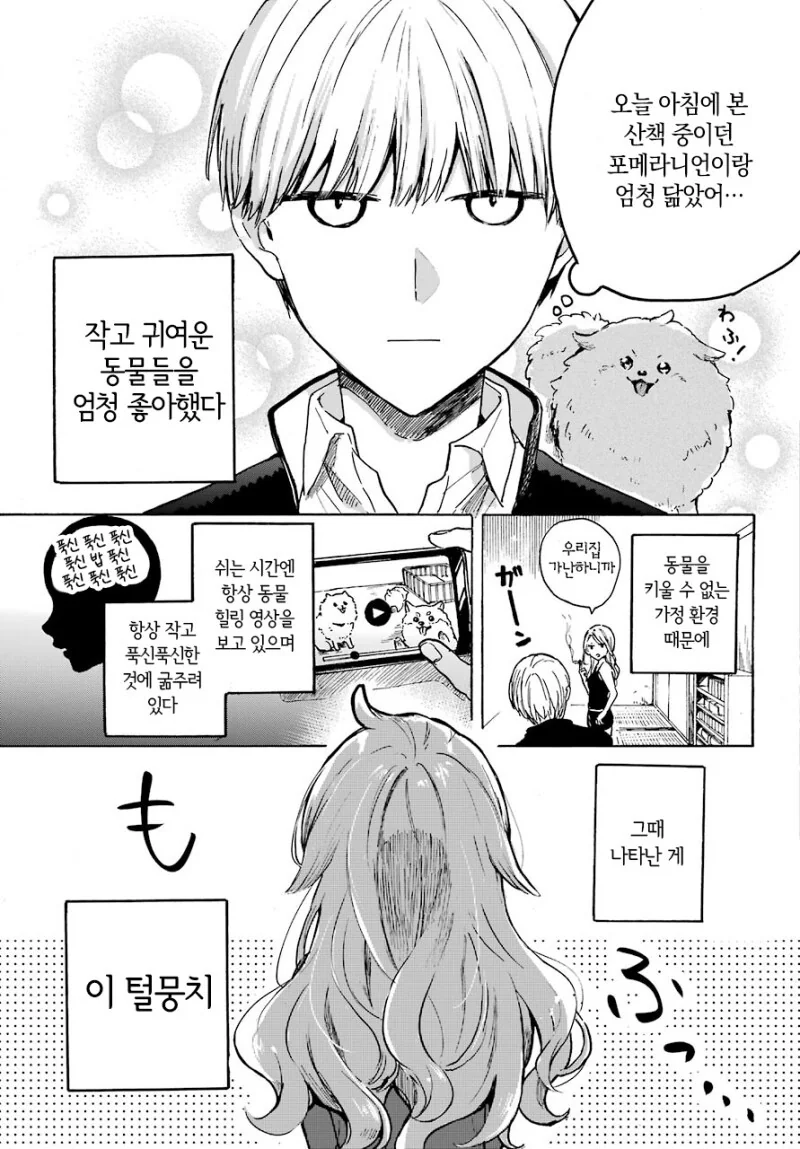 엇갈림으로 시작하는 두남녀 만화 - 이미지 5