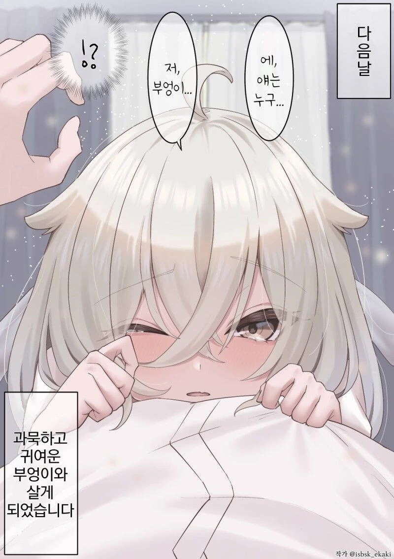 은혜갚는 과묵하고 귀여운 부엉이.manwha - 이미지 2