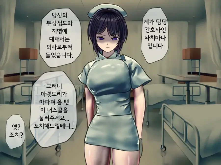 어느 성인지 메인히로인의 작품별 외모