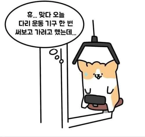 소심한 사람들의 헬스장.manhwa - 이미지 2