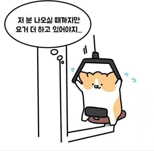 소심한 사람들의 헬스장.manhwa - 이미지 4