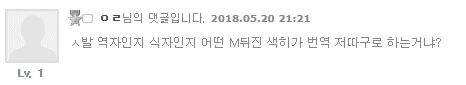 ㅁ루마ㄹ에 대항하기위해 역식을 거지같이 했던 불법번역 만화 - 이미지 25