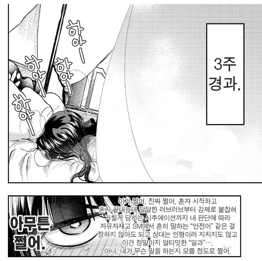ㅇㅎ) 골렘의 올바른 용도 - 이미지 4