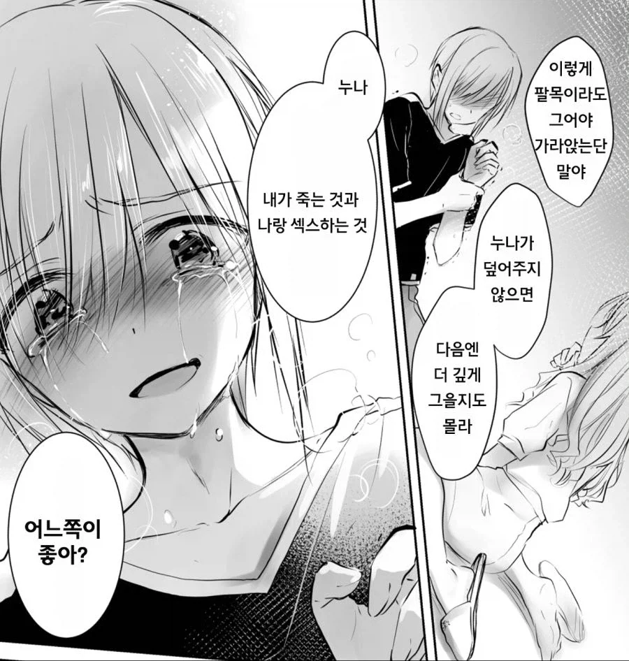 미친 동생 만화