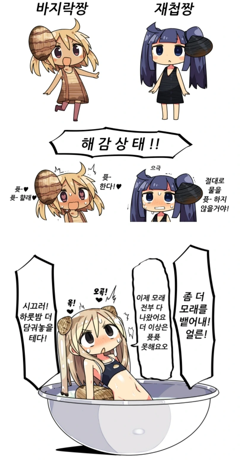 조개들이 퓻퓻 하는 만화