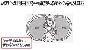 제로의 사역마) 루이즈의 ㄱㅅ크기.jpg - 이미지 3