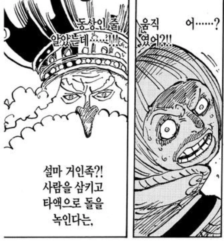 원피스) 세계관 내에 심각하게 퍼진 편견 중 하나