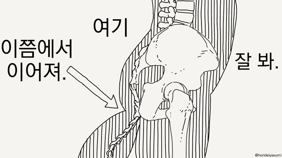 꼬리 보여주는 만화 - 이미지 4