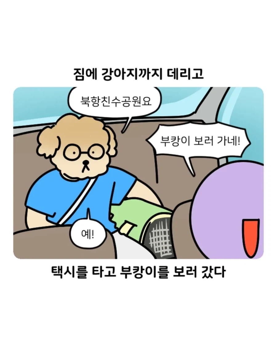 부캉이 보러갔다가 부산택시 경험한 만화.jpg - 이미지 5