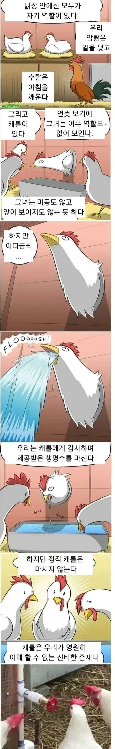 닭장 만화