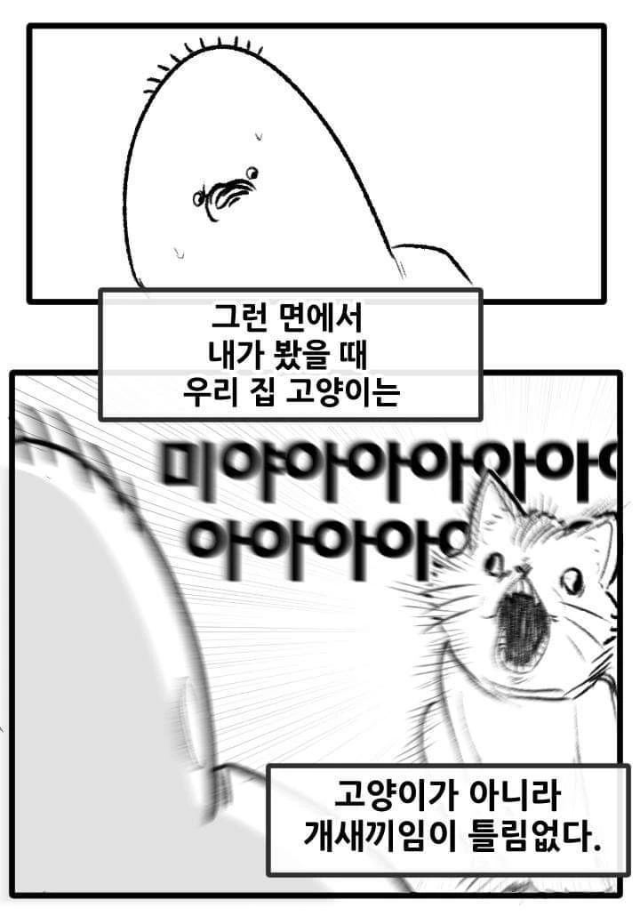 고양이 산책하는 만화.manga - 이미지 2