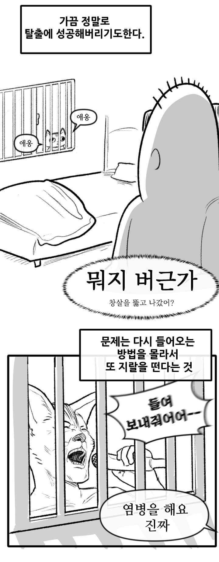 고양이 산책하는 만화.manga - 이미지 11