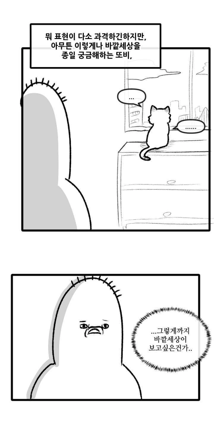 고양이 산책하는 만화.manga - 이미지 12