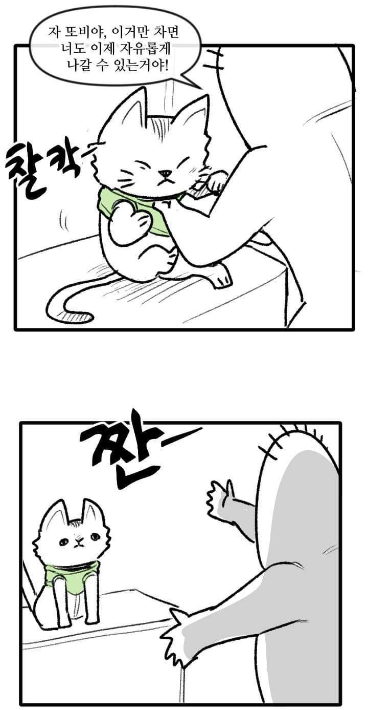고양이 산책하는 만화.manga - 이미지 14