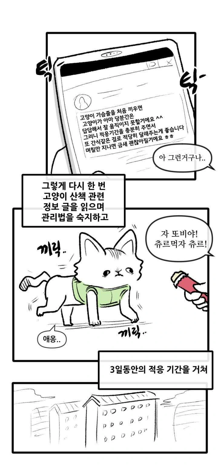 고양이 산책하는 만화.manga - 이미지 16