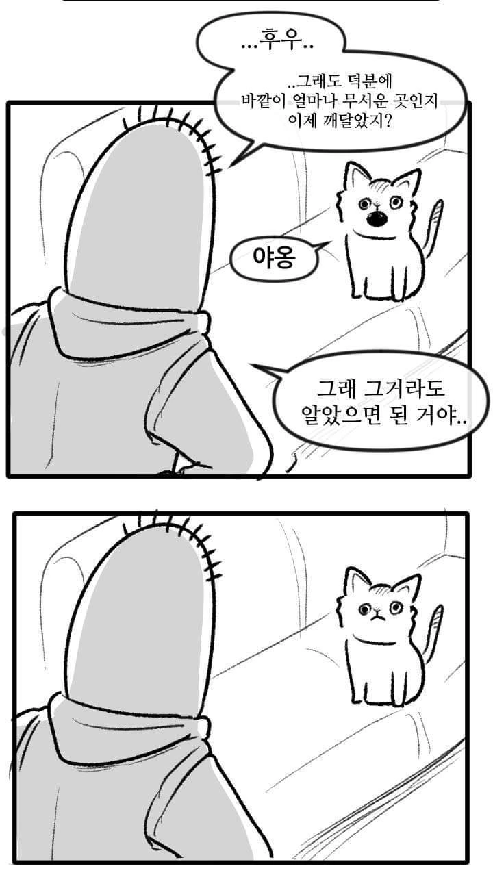 고양이 산책하는 만화.manga - 이미지 26