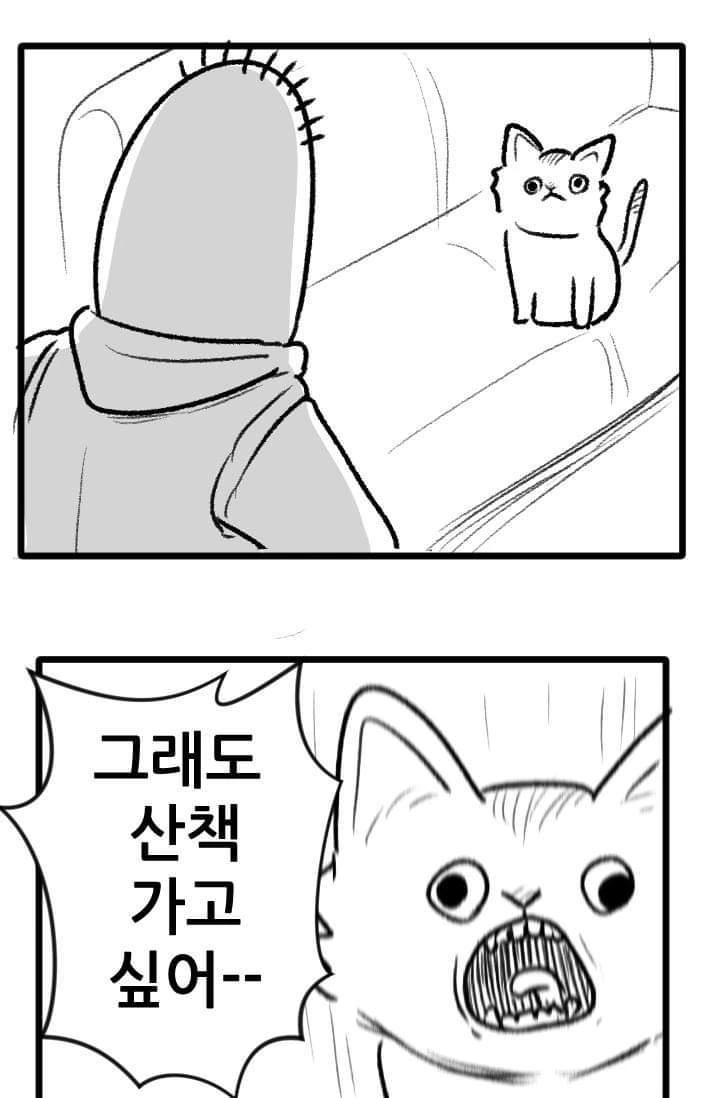 고양이 산책하는 만화.manga - 이미지 27