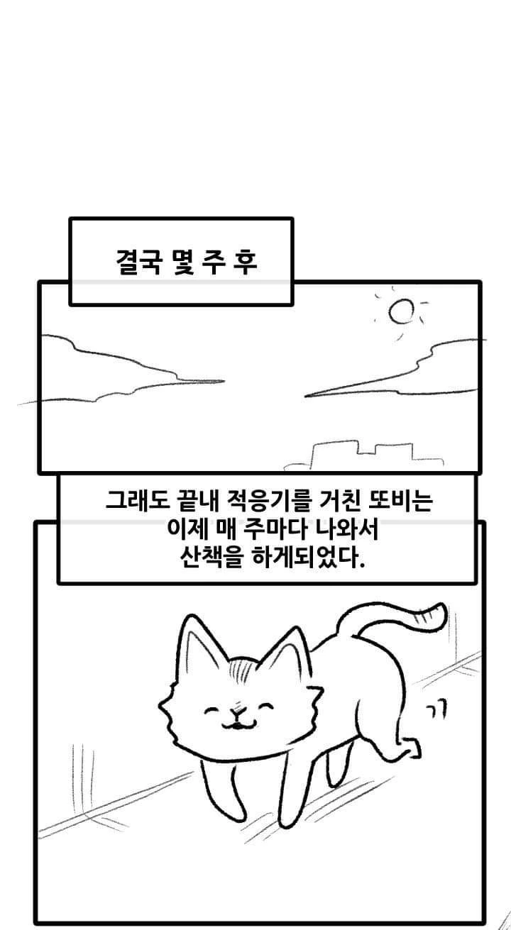 고양이 산책하는 만화.manga - 이미지 29