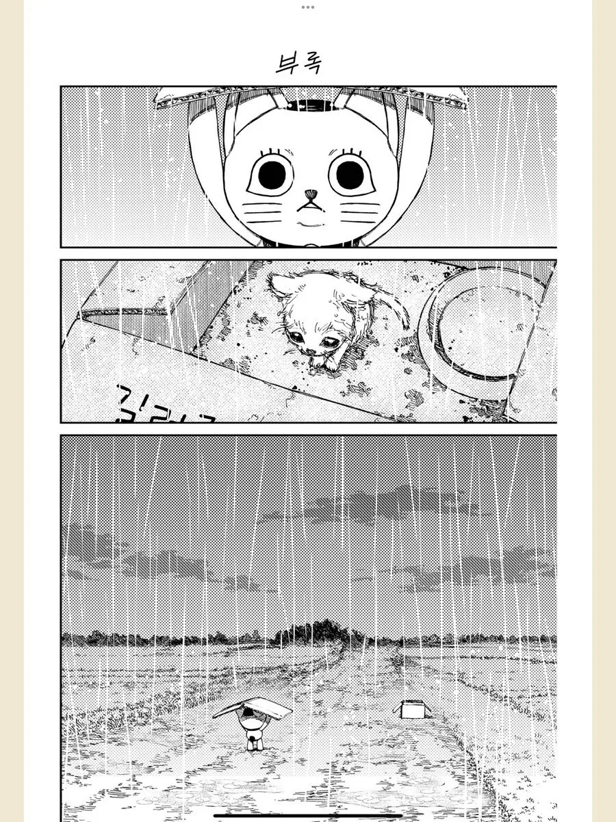 고양이가 냥줍하는 .manwha