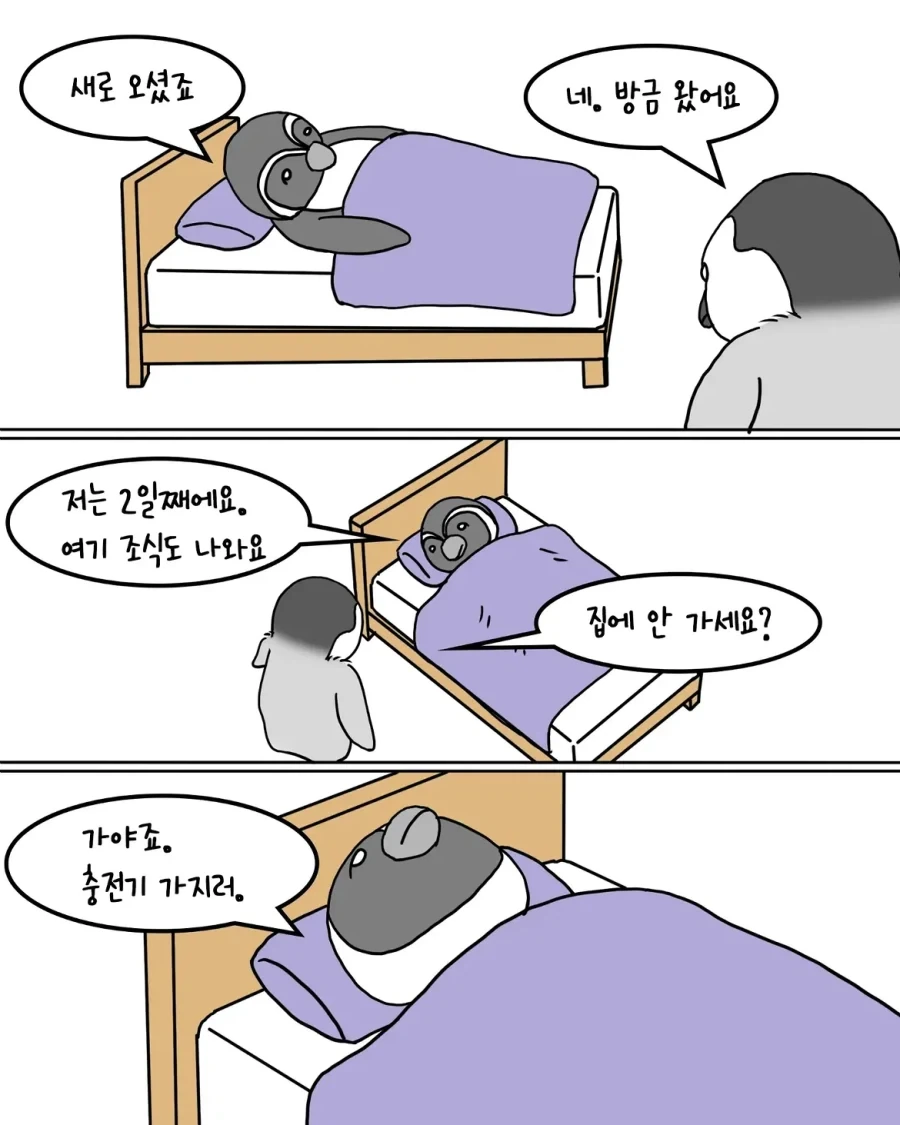 포근한 이불을 사러 온 펭귄.manwha - 이미지 3