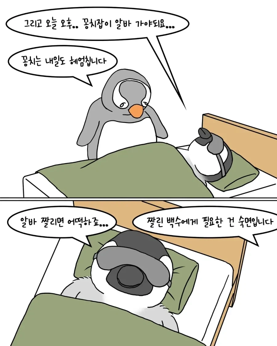 포근한 이불을 사러 온 펭귄.manwha - 이미지 6