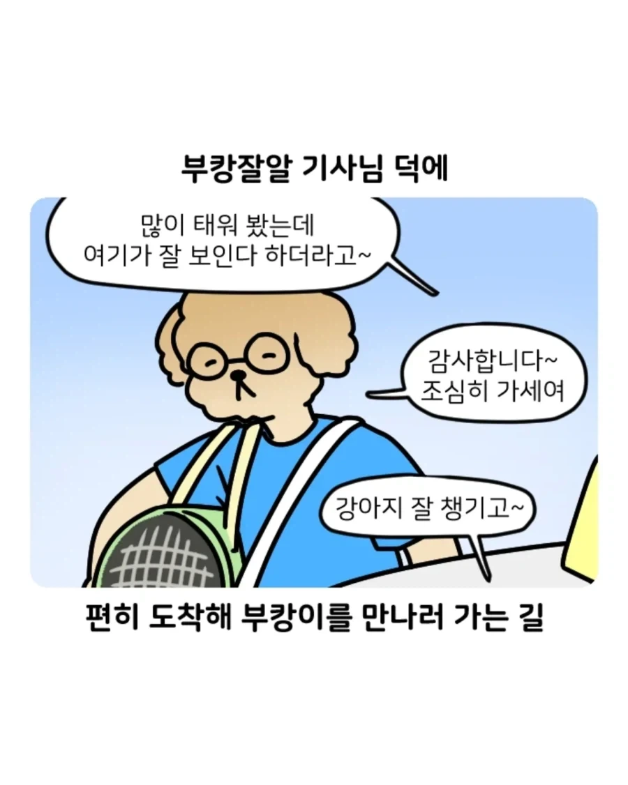 부캉이 보러갔다가 부산택시 경험한 만화.jpg - 이미지 2