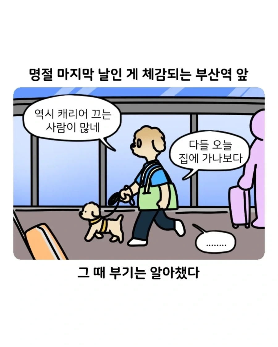 부캉이 보러갔다가 부산택시 경험한 만화.jpg - 이미지 5