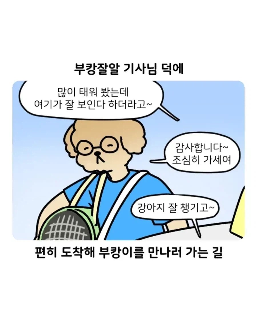 부캉이 보러갔다가 부산 택시 경험한 만화.Manhwa - 이미지 2