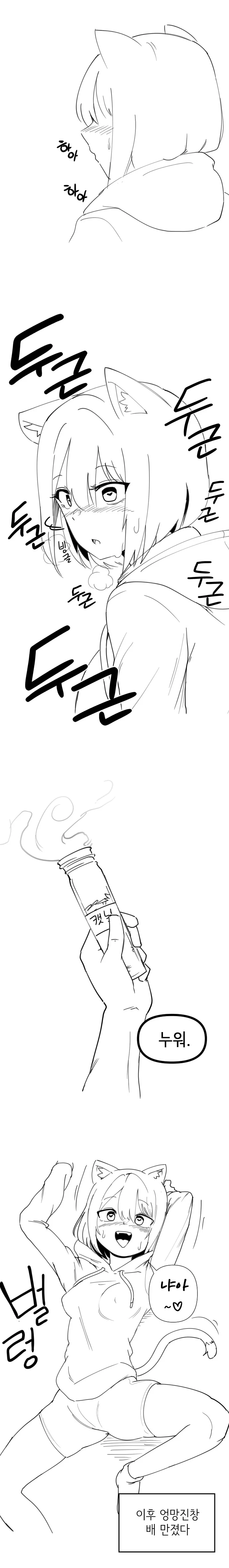 고양이 소녀.MANHWA (ㅂㅈ나서 다리벌림) - 이미지 2