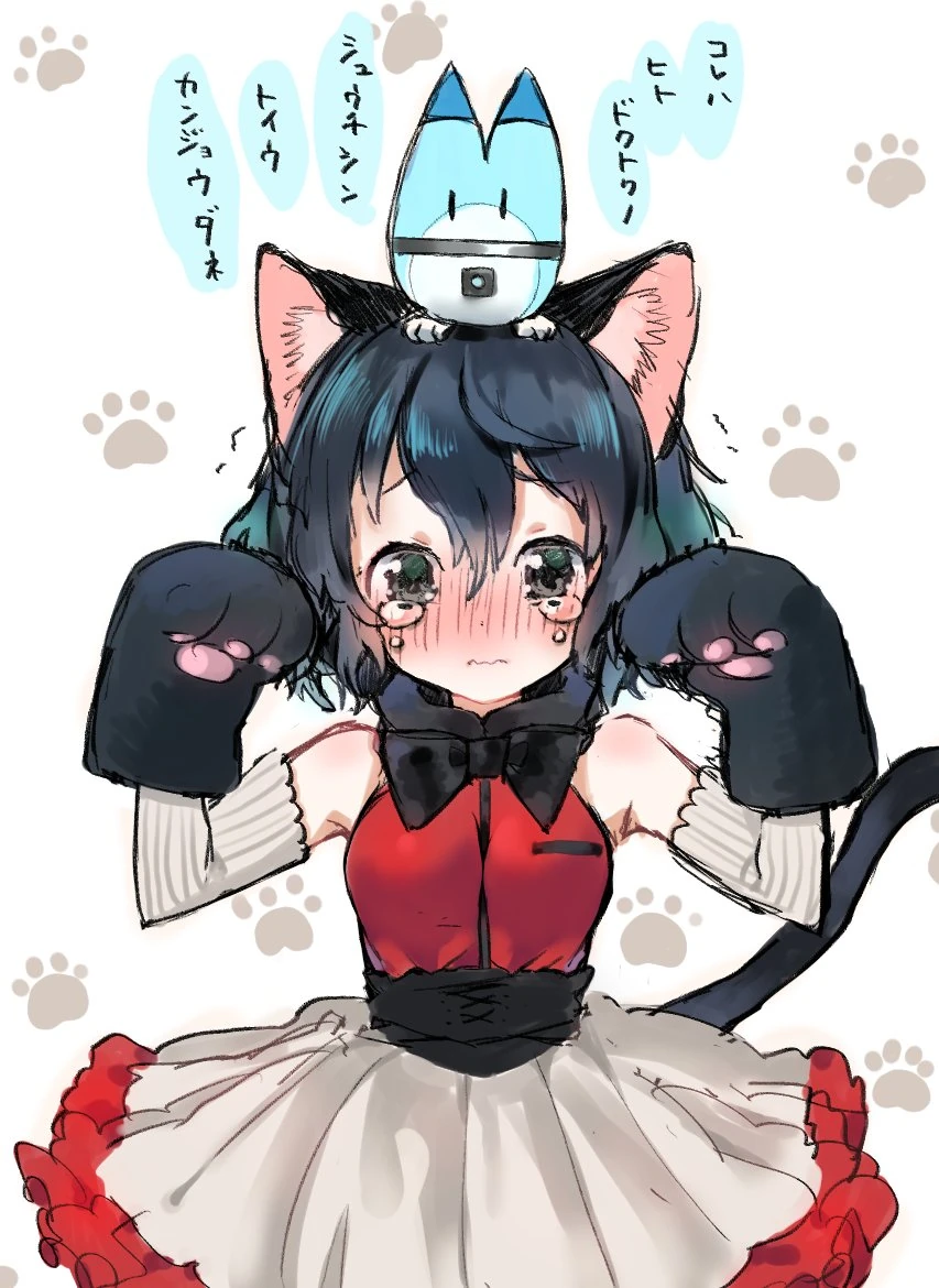 케모노)고양이 비스므리한거 - 이미지 10