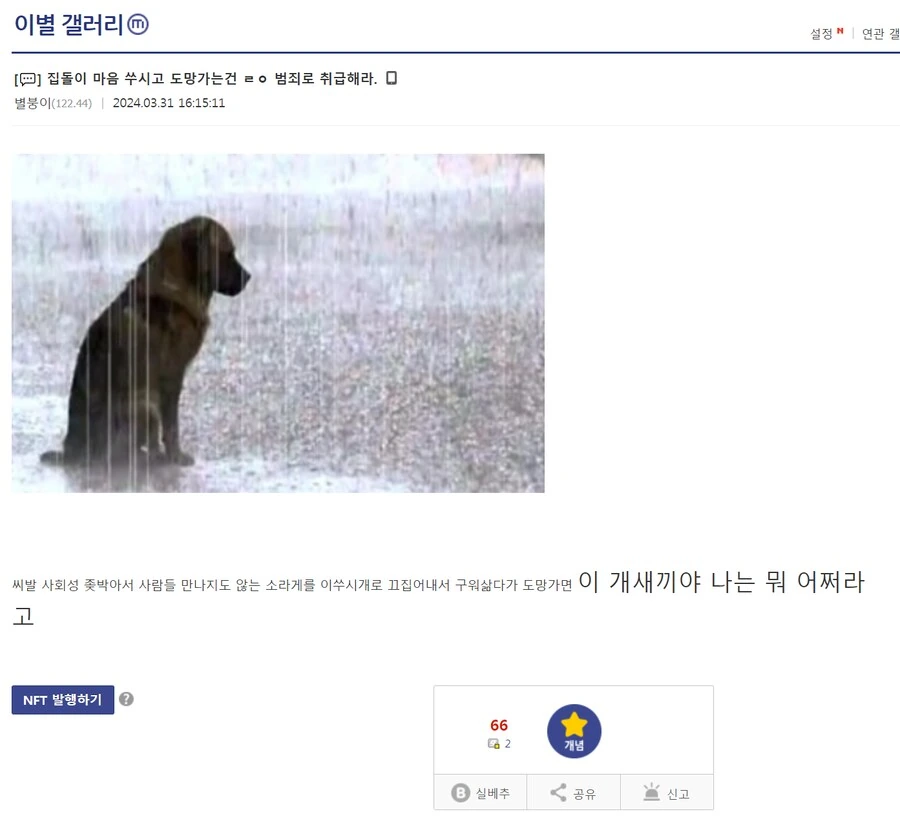 집돌이 마음 쑤시고 도망 가는건 ㄹㅇ 범죄로 취급해라.