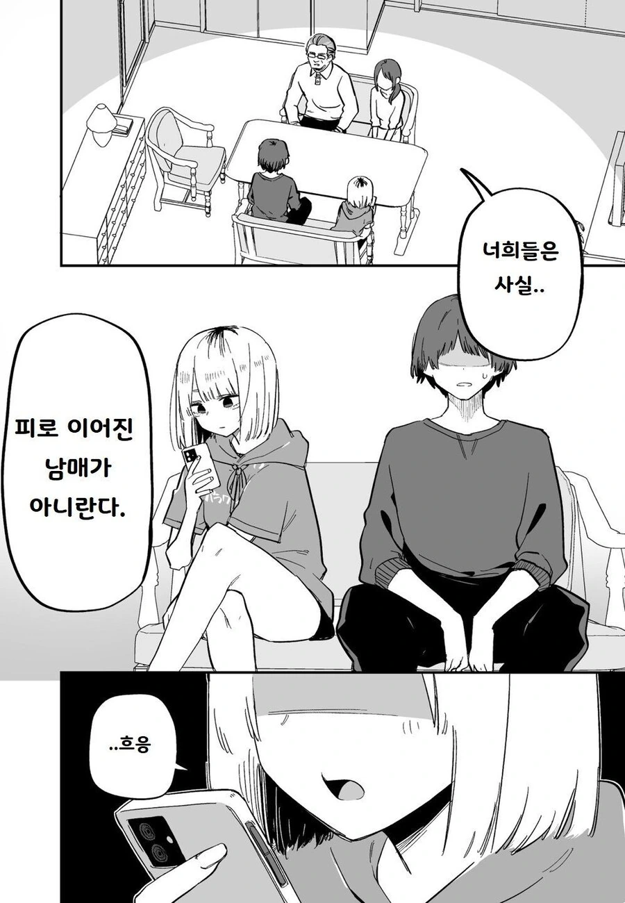 여동생이 날 좋아하기 시작했다 만화 - 이미지 2