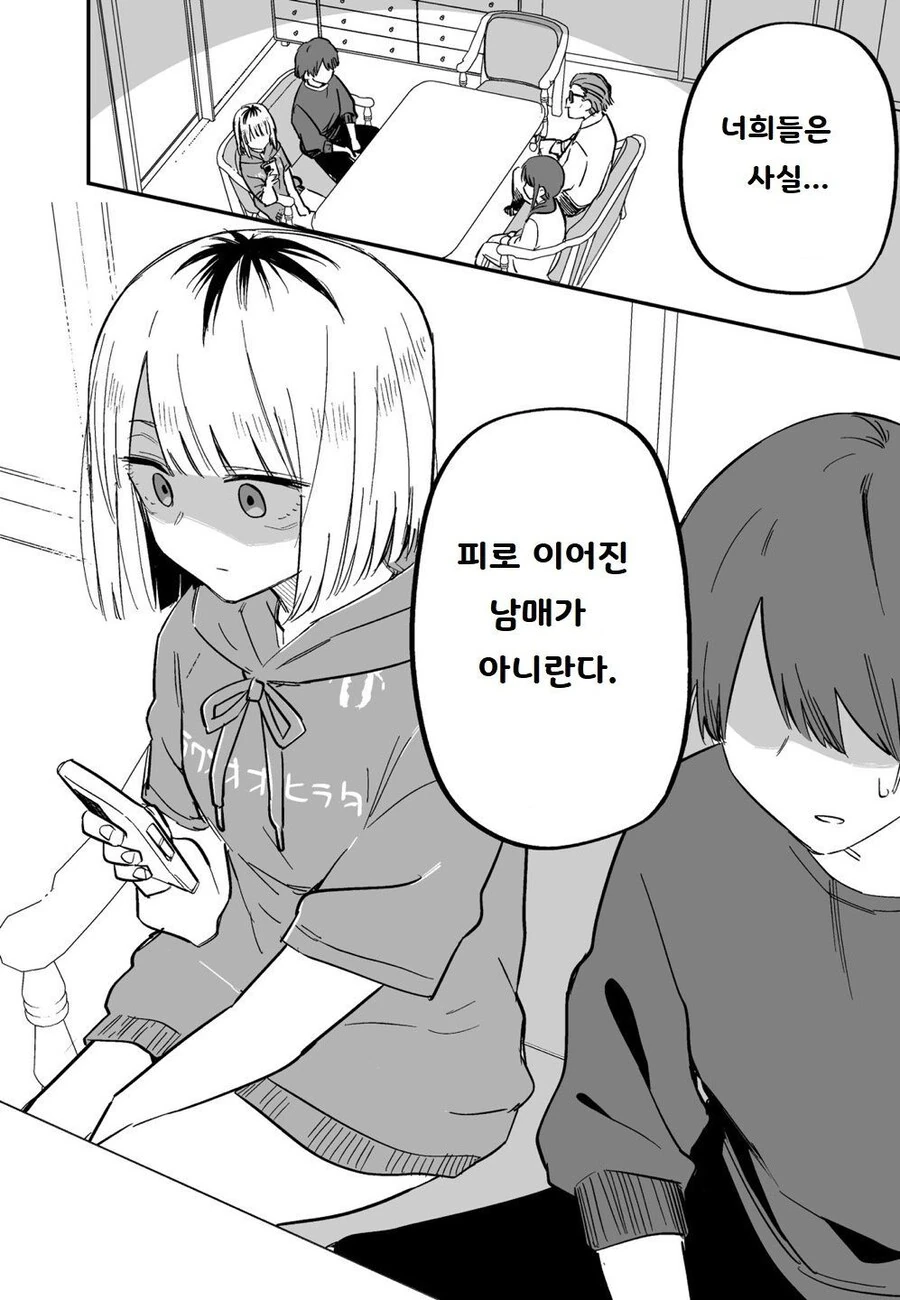 여동생이 날 좋아하기 시작했다 만화 - 이미지 18