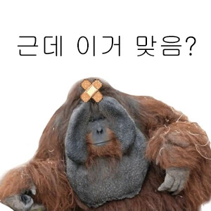 뭔가 뭔가 싶은 빙의 서비스.manga - 이미지 3
