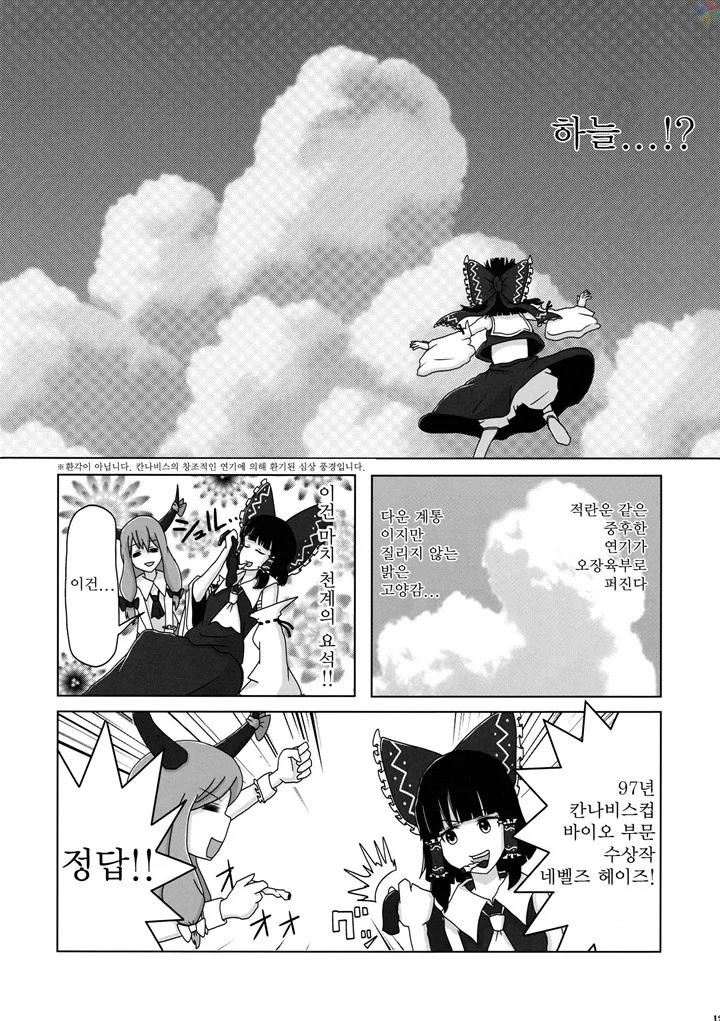 동방) 환상향 소녀들이 불법 약물 빨아재끼는 만화.manga - 이미지 11