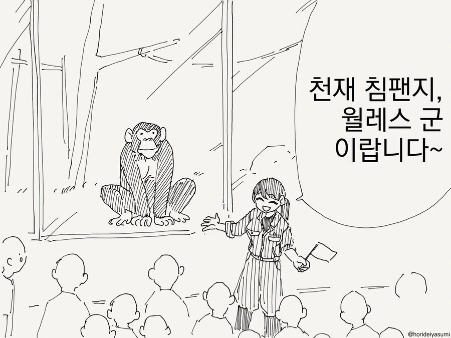 천재 침판지가 수화를 하는.manga