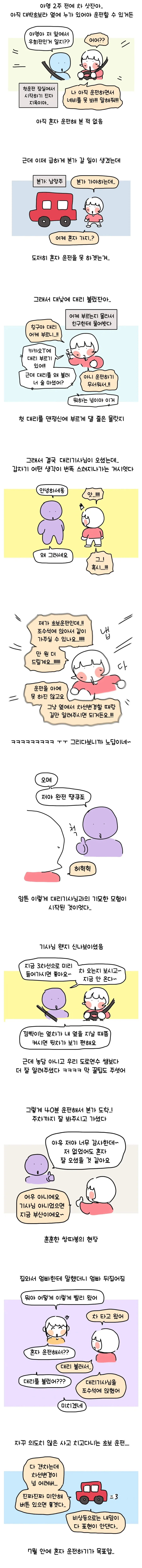 대낮에 술 안마시고 맨정신으로 대리기사 부른 여자 썰 만화