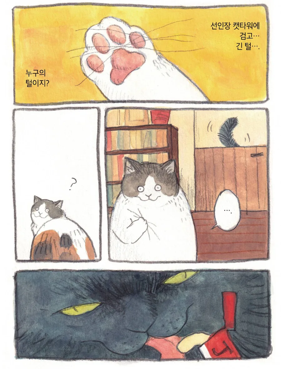 세상 뻔뻔한 고양이 만화 - 이미지 5