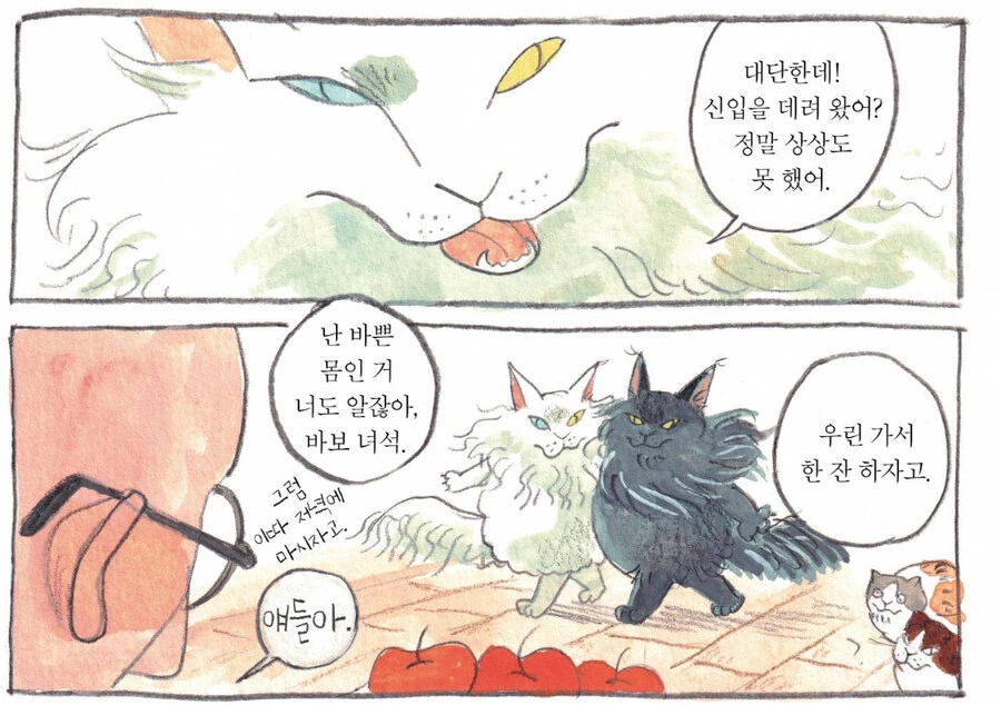 세상 뻔뻔한 고양이 만화 - 이미지 9