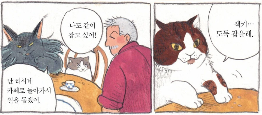 세상 뻔뻔한 고양이 만화 - 이미지 10