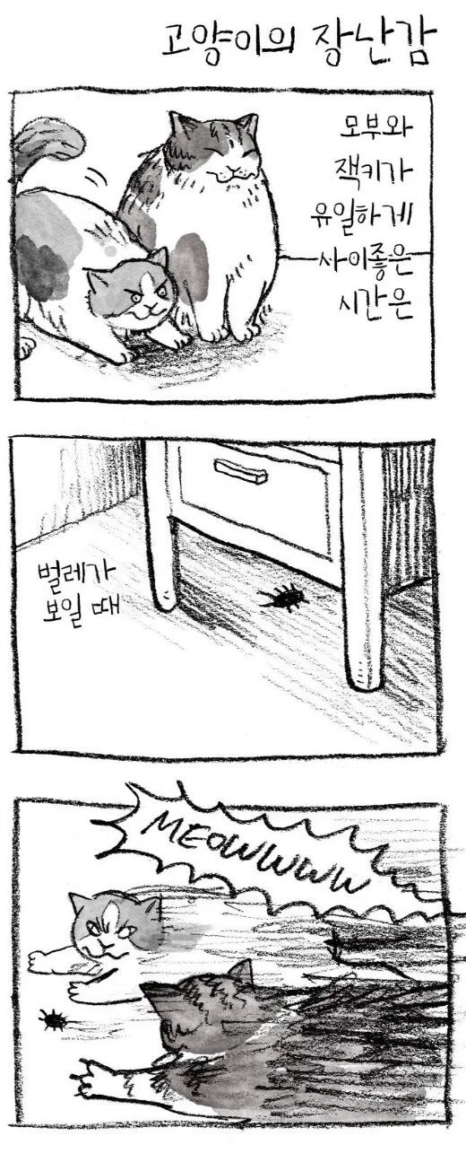 세상 뻔뻔한 고양이 만화 - 이미지 12