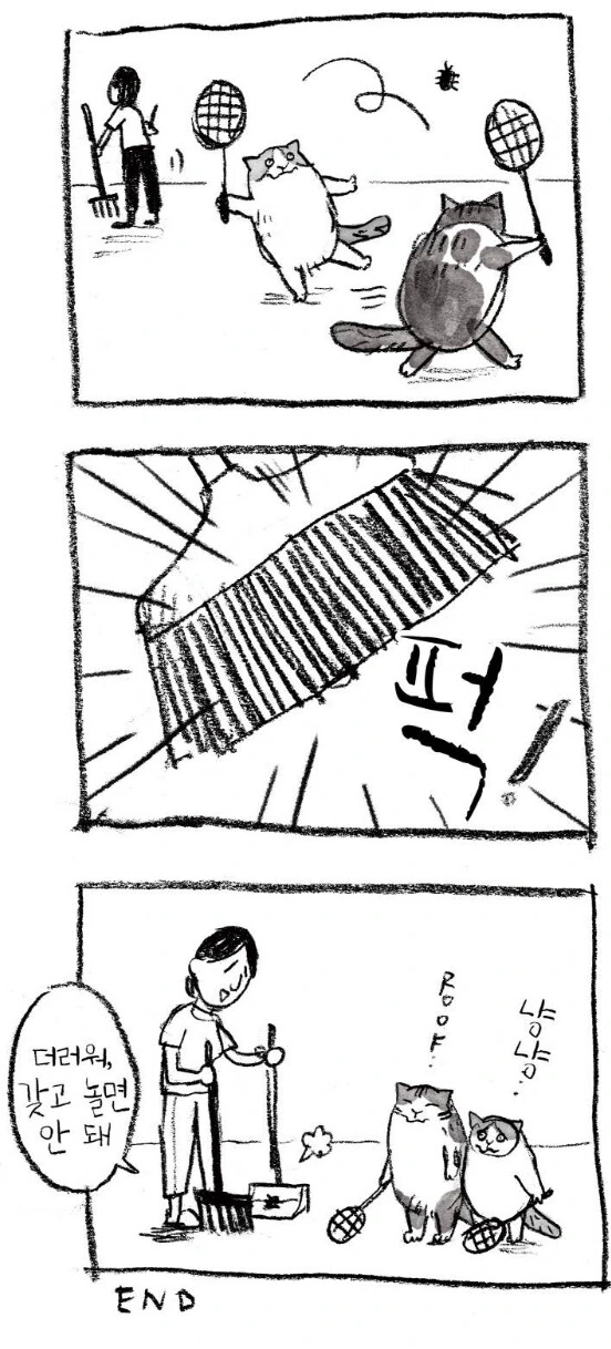 세상 뻔뻔한 고양이 만화 - 이미지 13
