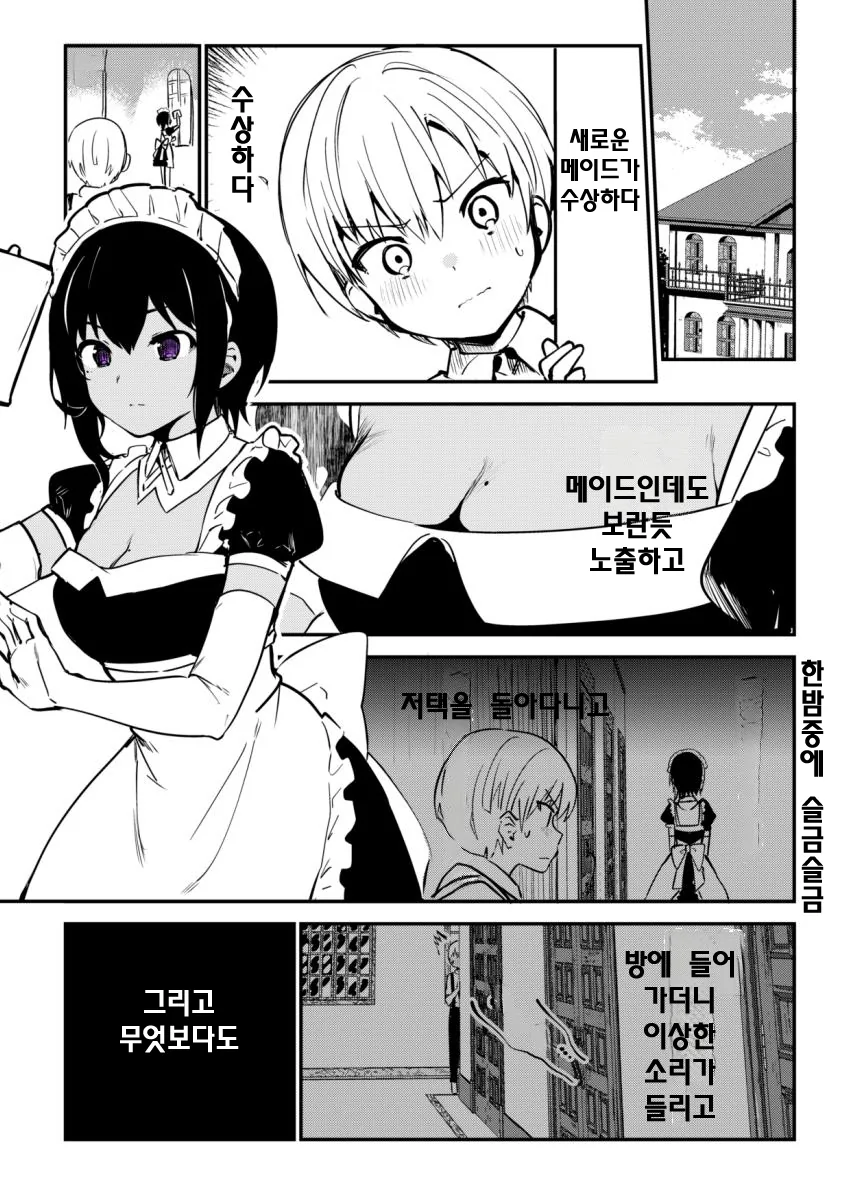 메이드를 의심하는 ㅅㅌ 도련님 만화.MANHWA