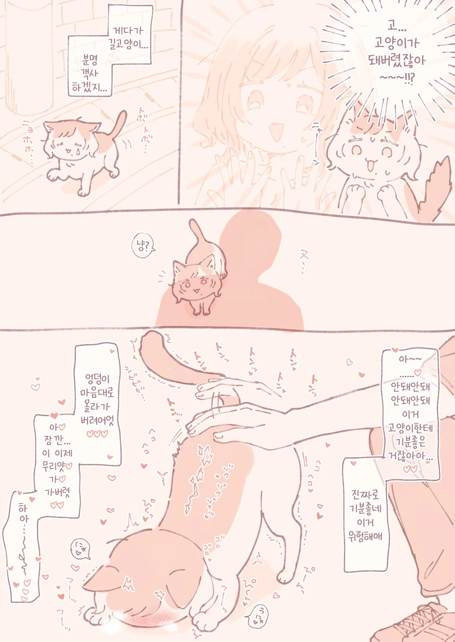고양이가 된 여고생.manhwa