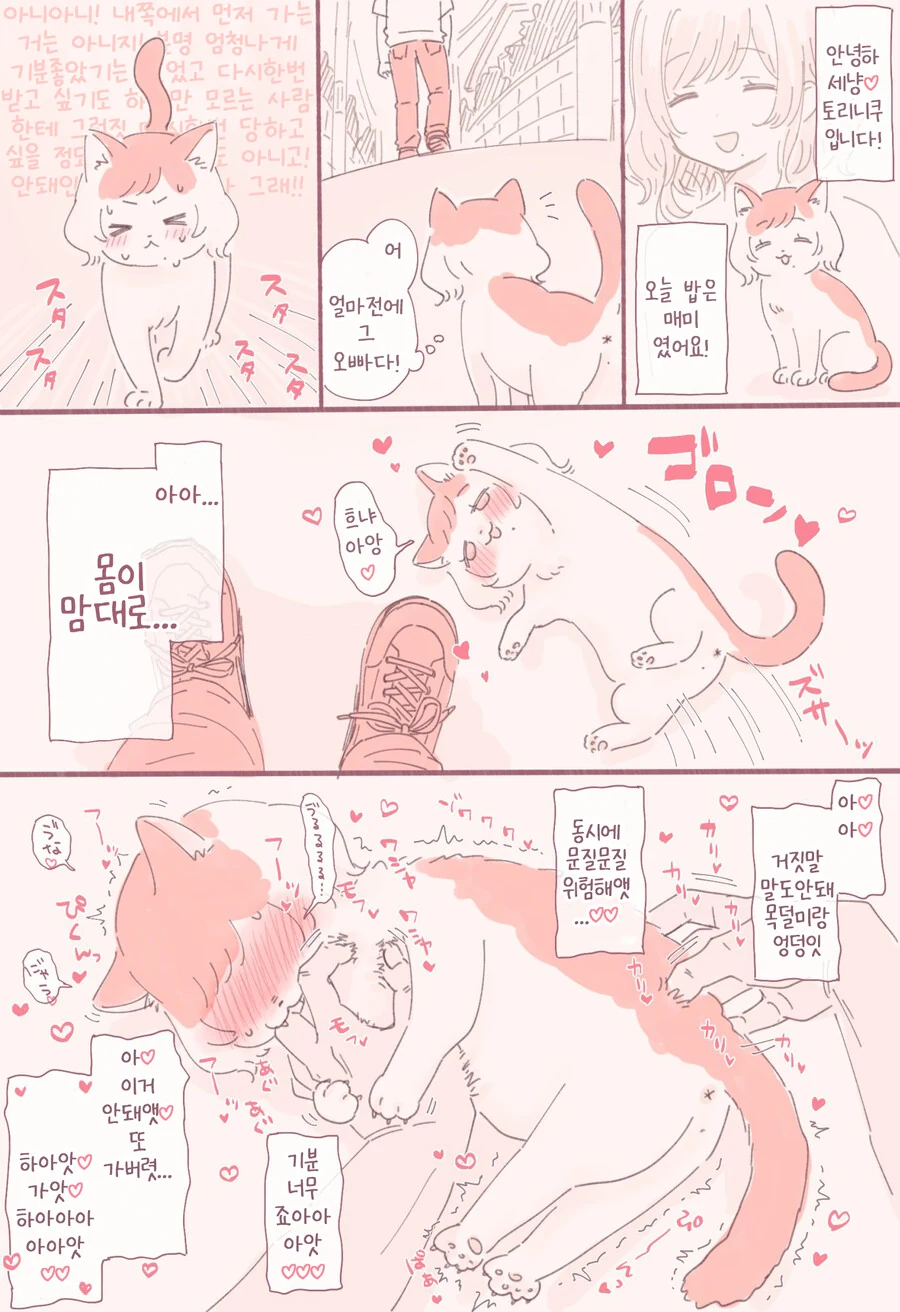 고양이가 된 여고생.manhwa - 이미지 2