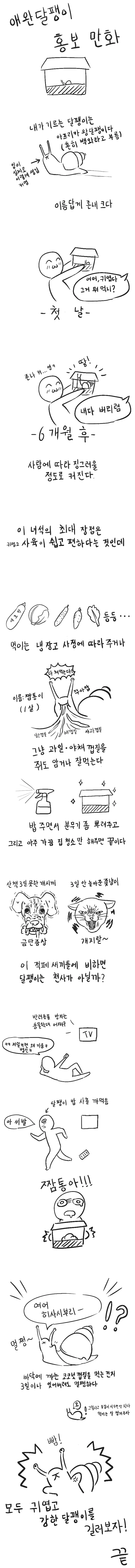 애완달팽이 홍보 만화