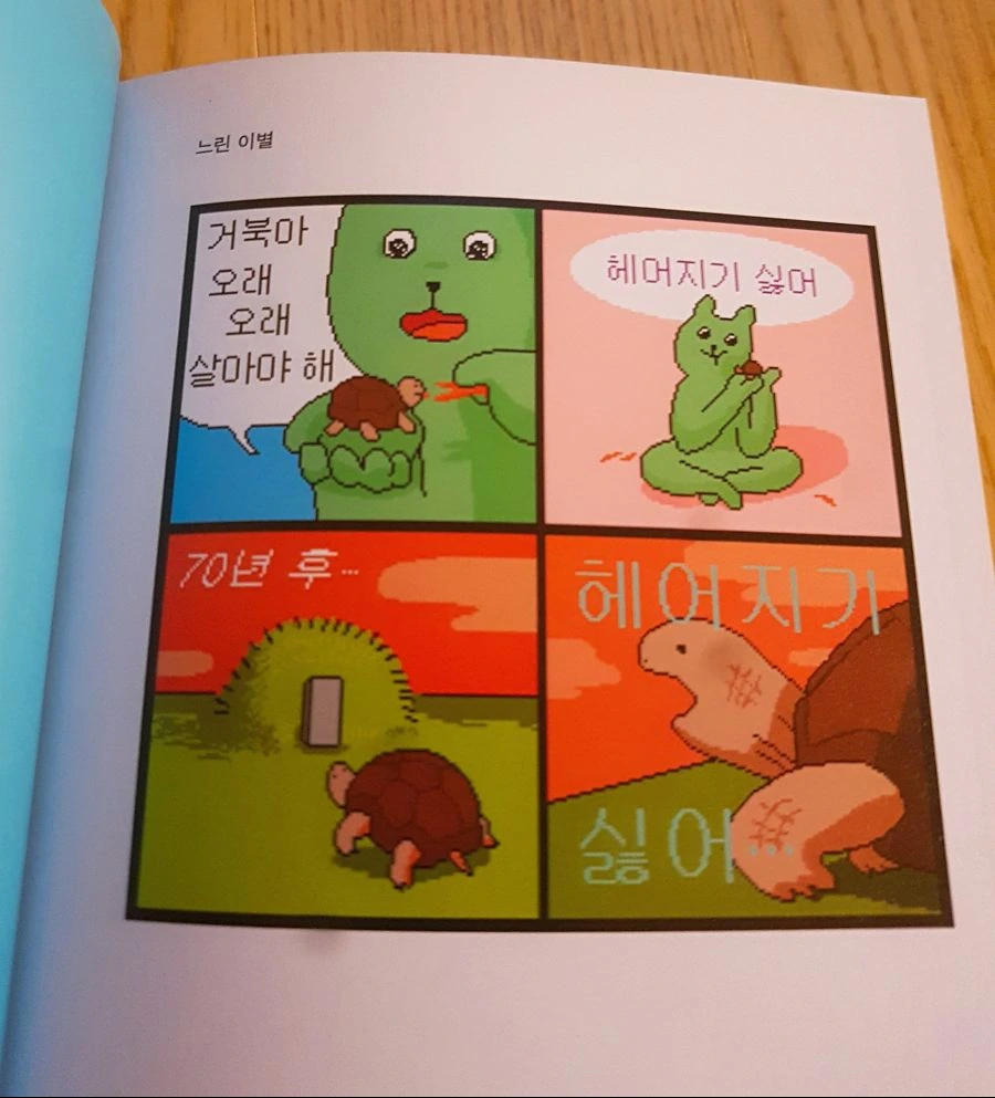 감동적인 거북이 만화