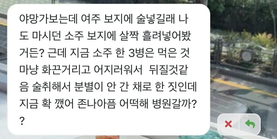ㅂㅈ로 술 마시는 만화.manga